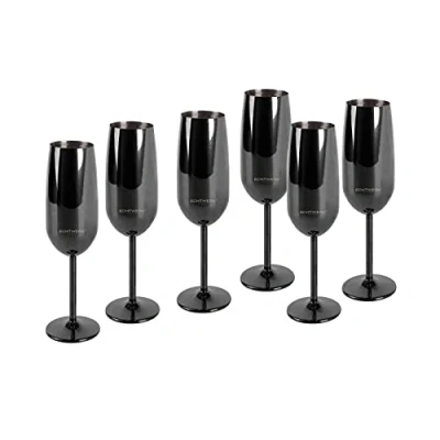 Image of ECHTWERK Champagne Glass, Stainless Steel Flutes, Unbreakable Glasses, Party Glasses for Wedding/Birthday/Picnic, Gift Set, 6 Pieces, 250 ml, Black Edition