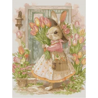 Image of Awesocrafts Cross Stitch Stamped Kits Peter Rabbit Easy Patterns Stitching Embroidery Needlework Kit Supplies 14CT 2 Strands