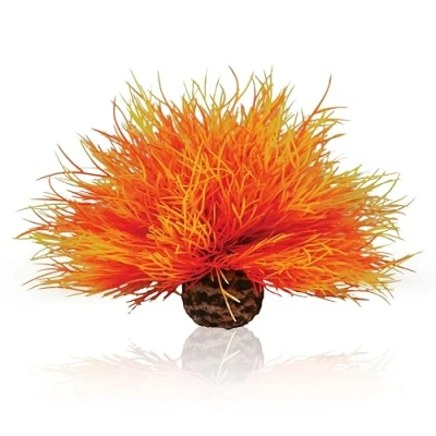 Image of biOrb Aquarium Sea Lily fire
