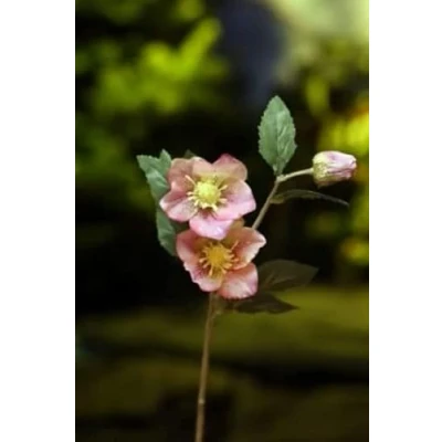 Image of Ferris Heart Sloane Luxury Artificial Pale Pink Hellebore Stem 56cm tall, Faux Flowers, Floristry