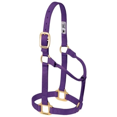 Image of Weaver Leather Original Non Adjustable Nylon Horse Halter Purple, Weanling/Pony