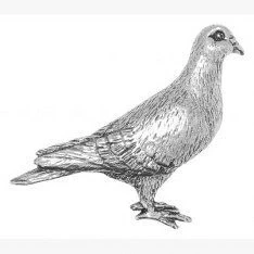 Image of Pigeon Pin Badge Brooch Gift, Supplied in Organza Bag