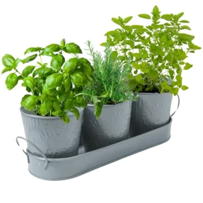 Image of Set of 3 Metal Plant Pots with Drip Tray: Indoor &amp; Outdoor Windowsill, Kitchen, Desks Ideal for Plants, Herb, Flowers and Succulents. (Model 2)