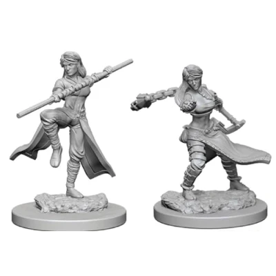 Image of Dungeons &amp; Dragons Nolzur&#039;s Marvelous Unpainted Miniatures (W1) Human Female Monk