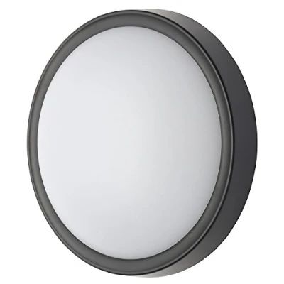 Image of LITECRAFT Upton Wall Light Outdoor 22 cm LED IP65 Garden Fitting Black (Circular)