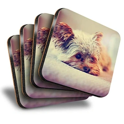 Image of Destination Vinyl ltd Great Coasters (Set of 4) Square Yorkshire Terrier Puppy Dog Drink Glossy Coasters/Tabletop Protection for Any Table Type #15621