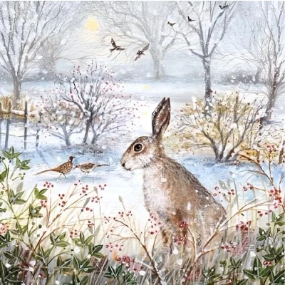 Image of Museums &amp; Galleries Charity Christmas Cards Sold in Aid of MacMillan Cancer Support Pack 8 Hare and Frosty Morning Artistic Design by Lucy Grossmith Made The UK Eco Friendly