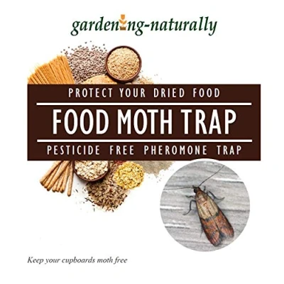 Image of Food Moth Traps Pesticide Pheromone Trap (Pack of 2)