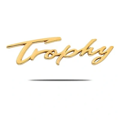 Image of Car Body Emblems Replacement Rear Trunk Tailgate Sticker Chrome Letters for MG6 Trophy 3D Badge Accessories,A