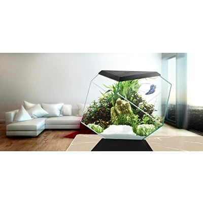 Image of Askoll 280670 Nexus 5C Betta Life Black