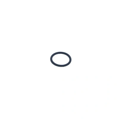 Image of Main 5110971 O Ring