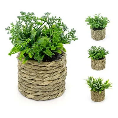 Image of Carousel Home 14cm Artificial Plant In Decorative Rope Planter Small Fake Pots Indoor Ferns Faux Potted Design Varies One Supplied