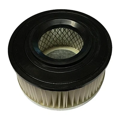 Image of De Vielle Ash Vac Replacement Air Filter