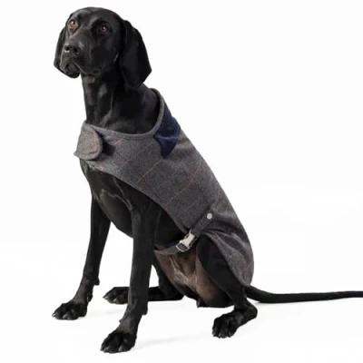Image of HUGO &amp; HUDSON x HACKETT Tweed Dog Jacket Coat Corduroy Collar, Grey Checked Herringbone XS25
