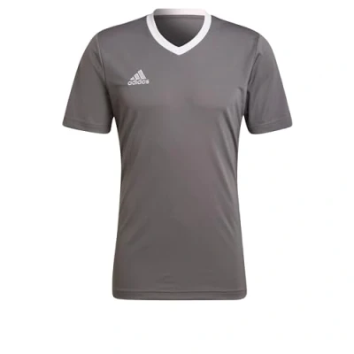 Image of adidas Men&#039;s Entrada 22 Jersey (Plus Size), Team Grey Four, XL Extra Tall