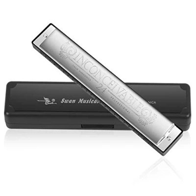 Image of Harmonica Harp Harmoc Armonica 24 Hole Mouth Organ Professional Key of C Polyphony Diatonic with Case for Blues Folk Jazz Pop Music Instrument