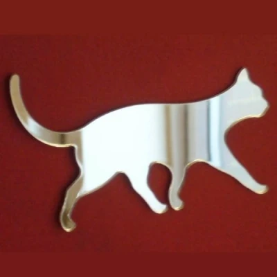 Image of Super Cool Creations Cat Walking Mirror 20cm x 14cm