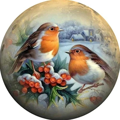 Image of Awesocrafts Cross Stitch Stamped Kits Birds Snow Scene Easy Patterns Stitching Embroidery Needlework Kit Supplies (Snow)