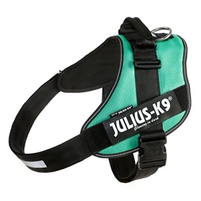 Image of Julius K9, 16IDC GG 4, IDC Powerharness, dog harness, Size: Grass Green