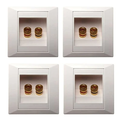 Image of Evenden 4 x Wall Socket Connection Box Port with 2 Sockets for Banana Plug Speaker