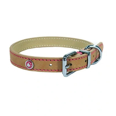 Image of Rosewood Luxury Leather Dog Collar, Tan, Samml 10 14 inch