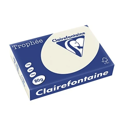Image of Clairefontaine Trofeo Paper A4, (210 mm x 297 mm), Grey Inkjet Paper, for Printer, FSC