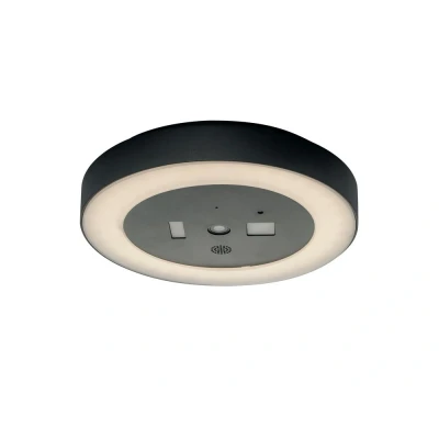 Image of ZOOM LED Flush Ceiling Light Anthracite, IP54 1800lm 4000K 30x5.5cm