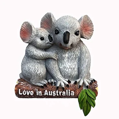 Image of Australia Wild Animals Koala Fridge magnet Travel Souvenir Gift Collection,Home &amp; Kitchen Decoration refrigerator