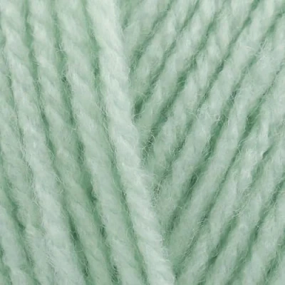 Image of Stylecraft Special DK 100g (Tea Green 2189)