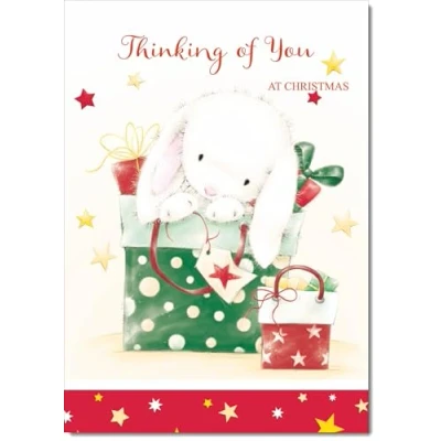 Image of doodlecards Thinking Of You Christmas Card Cute Rabbit with Parcels Medium Size for Plain Envelope