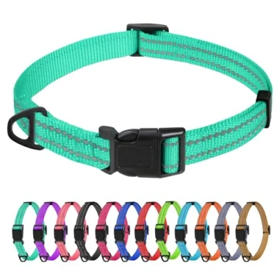 Image of TagMe Reflective Nylon Dog Collars, Adjustable Classic Collar with Quick Release Buckle for Extra Small Dogs, Turquoise, 1.5 cm Width