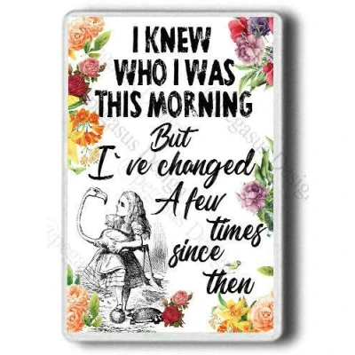 Image of Alice in Wonderland large size Magnet, I knew who was this... Fridge Magnet