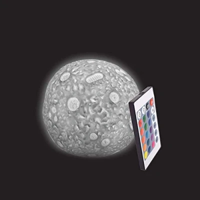 Image of Playlearn Moon Lamp with Remote, Colour Changing &amp; Dimmable LED Relaxing Light, Sensory Kids Toy Home Decoration Novelty Gift