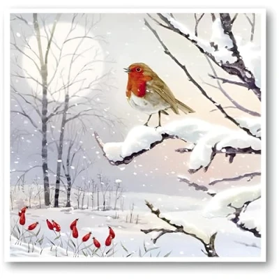 Image of GBCC Charity Christmas Cards Pack of 8 with a Robin on Snowy Branch Design Eco Friendly Xmas Multipack Envelopes
