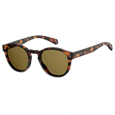 Image of Sunglasses Polaroid Pld 6042/s col. 086/sp Unisex Pantos Havana
