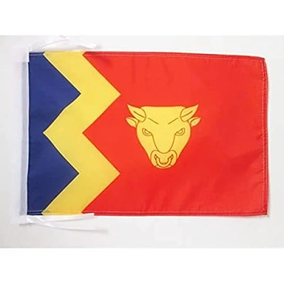 Image of AZ Flag Birmingham City 18&#039;&#039; x 12&#039;&#039; 100% Polyester Small Banner with Two Cords Fade Resistant Vivid Colors 18x12 in 45x30 Cm