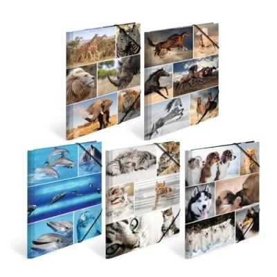 Image of HERMA Elastic Folder Animals, Assorted Colourful Designs, A4, Sturdy Cardboard, with Inner Print, Pack of 10