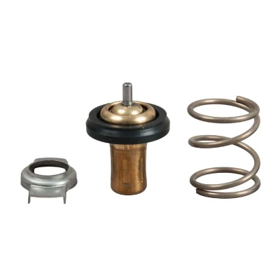 Image of 55242072, 71752884, 71770215 Engine thermostat GATES TH49288G1 88C with gaskets/seals ALFA ROMEO: Giulietta Hatchback, FIAT: BRAVO 2