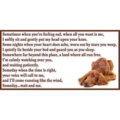 Image of Red Irish Setter dog bereavement pet loss sympathy Flexible Fridge Magnet / Magnetic Sign