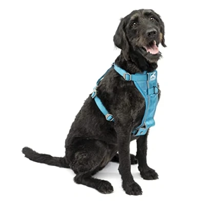 Image of Kurgo Tru Fit Smart Harness, Dog Pet Walking Quick Release Buckles, Front D Ring for No Pull Training, includes Seat Belt Tether (Blue, Large)
