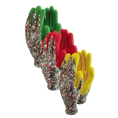 Image of Town &amp; Country Ladies Chiilli Triple Pack