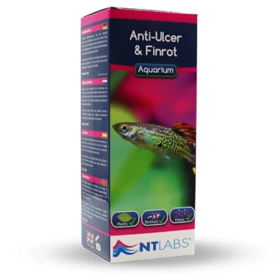 Image of NT Labs Aquarium Anti Ulcer &amp; Finrot, Bacterial Infection Treatment, Relieves Ulcers, Contains Acriflavine, Treats Bacteria such as Aeromonas Pseudomonas (250 ml)