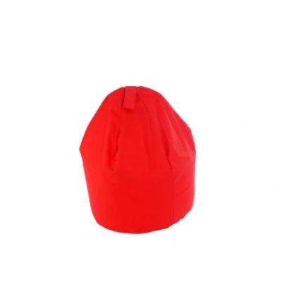 Image of Child Size Bean Bag With Beans Red