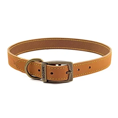 Image of Ancol Timberwolf Comfortable Durable Leather Mustard Dog Collar Pet Training Accessory 45 54 cm, Size 6