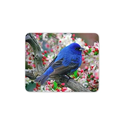 Image of Destination Vinyl ltd Indigo Bunting Bird Mouse Mat Pad Blue Small Birds Garden Computer #8889