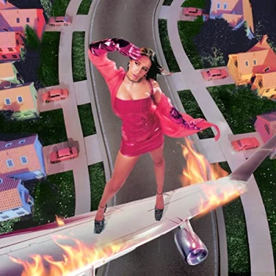 Image of I Used To Think Could Fly