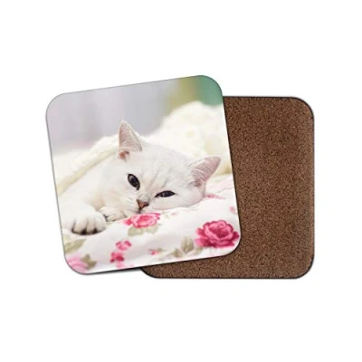 Image of 1 x Adorable White Cat Coaster Kitten Pretty Girls Animals Pets Mum #12852