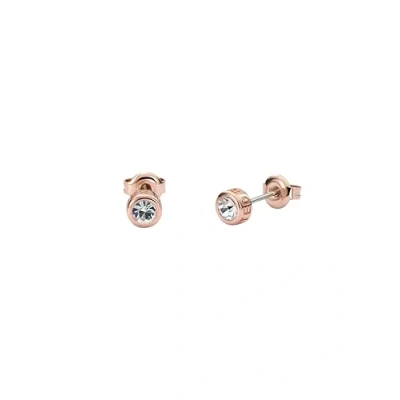 Image of Ted Baker Sinee Mini Crystal Stud Earrings For Women (Rose Gold/Crystal)