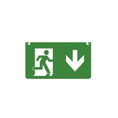 Image of Emergency Acc Legend Down Arrow For ILEMES030 Integral LED