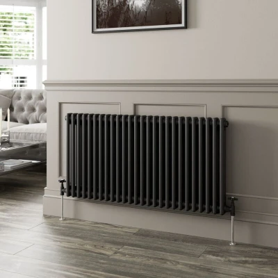 Image of Park Lane Traditional Colosseum Double Bar Column Radiator Black 600 x 1190mm
